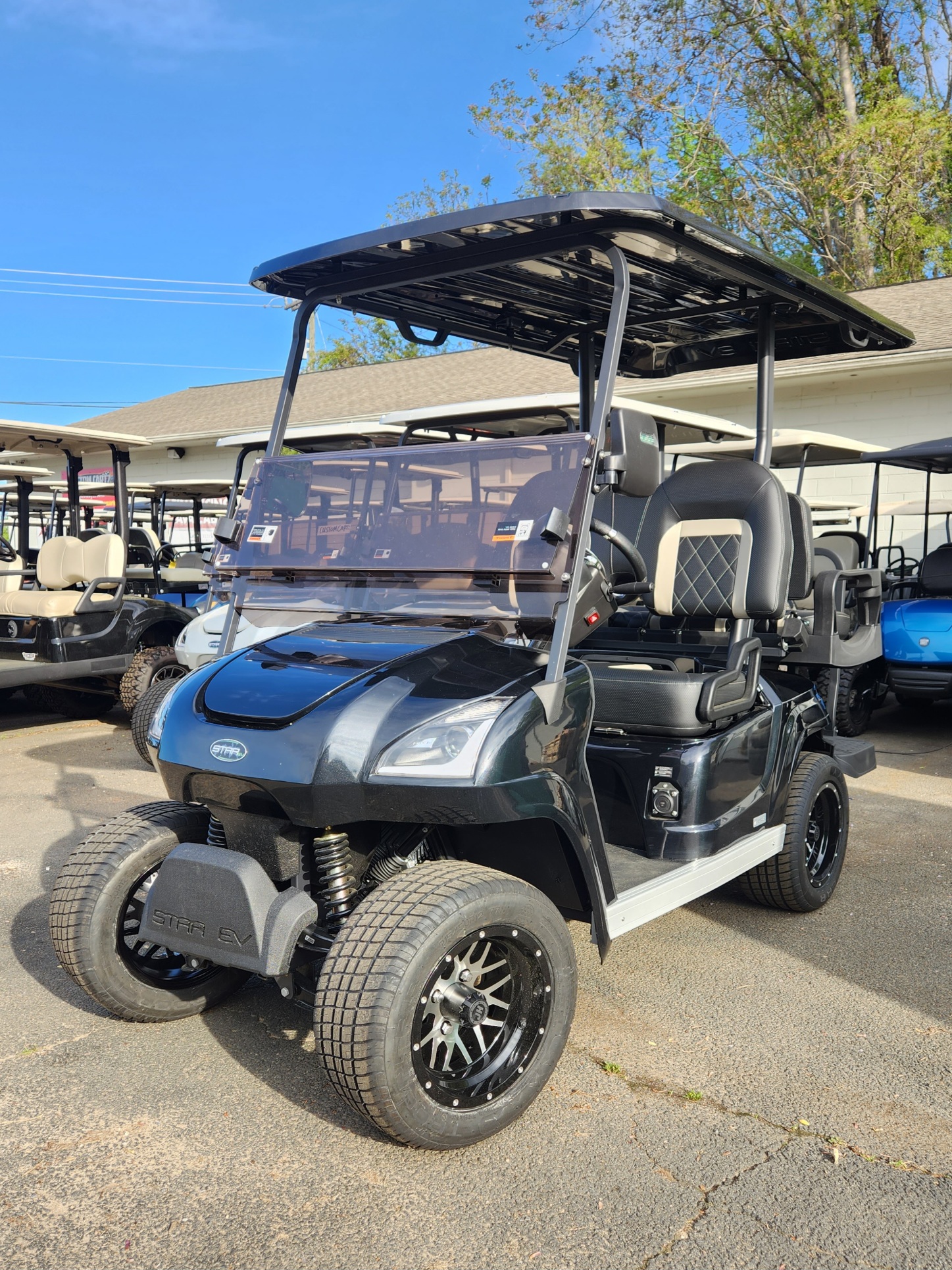 Custom Precedent Steelers Golf Cart for Sale